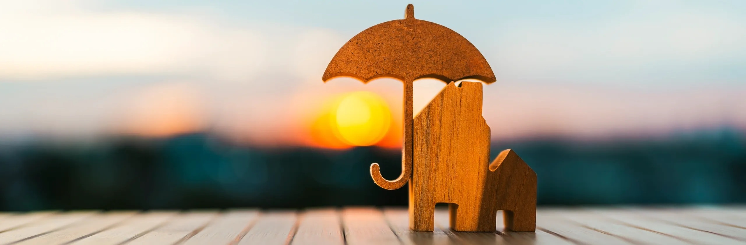 Adult Proceedings & Asset Protection
